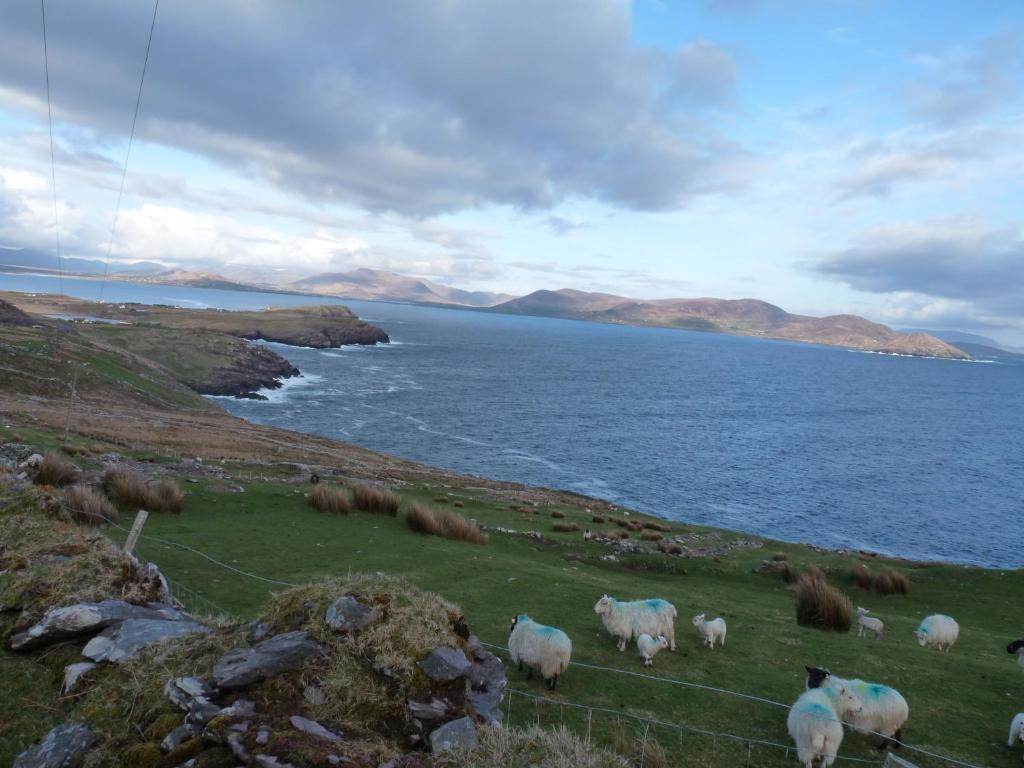 Skellig Cottages แบลลินสเกลลิกส์ ภายนอก รูปภาพ